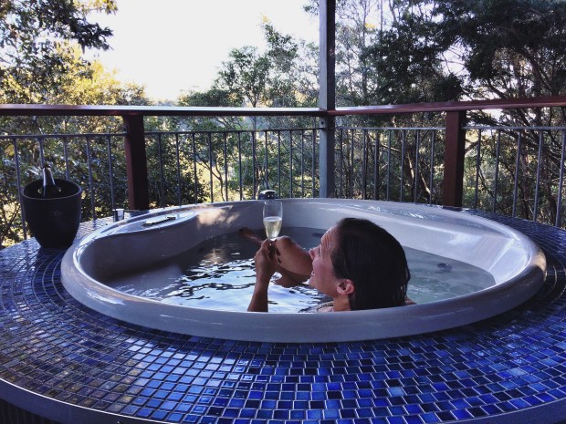 o'reillys rainforest retreat