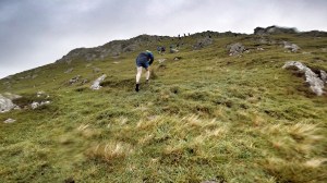 tiree ultra marathon