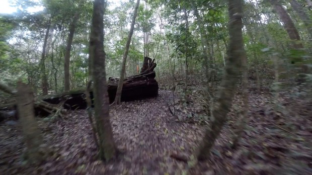 Frame-11-11-2017-08-38-31