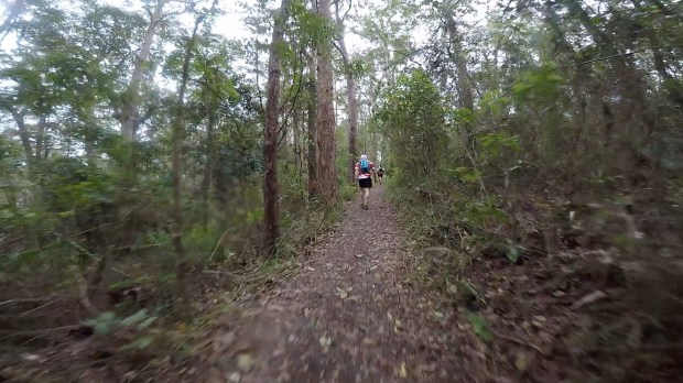 Frame-11-11-2017-08-38-50