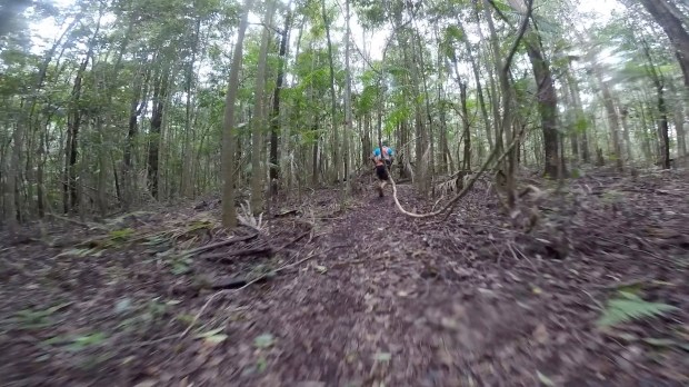 Frame-11-11-2017-08-42-40