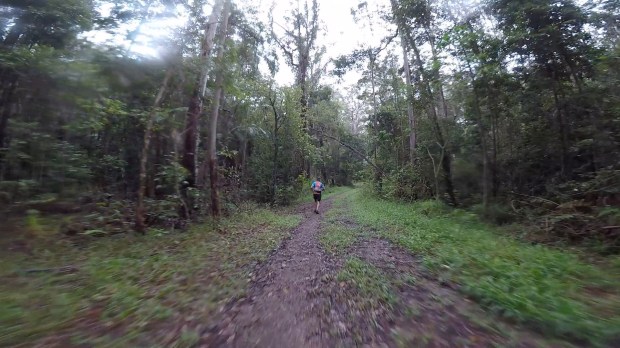 Frame-11-11-2017-08-44-58