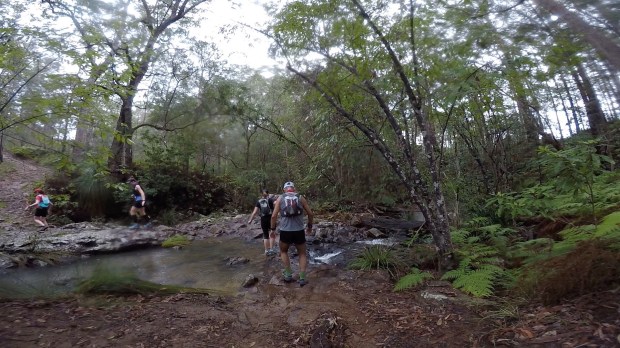 Frame-11-11-2017-08-45-35