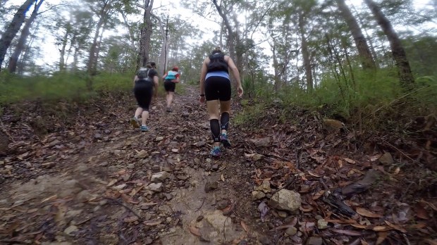 Frame-11-11-2017-08-46-06