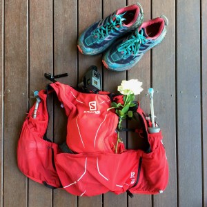Salomon hydration pack
